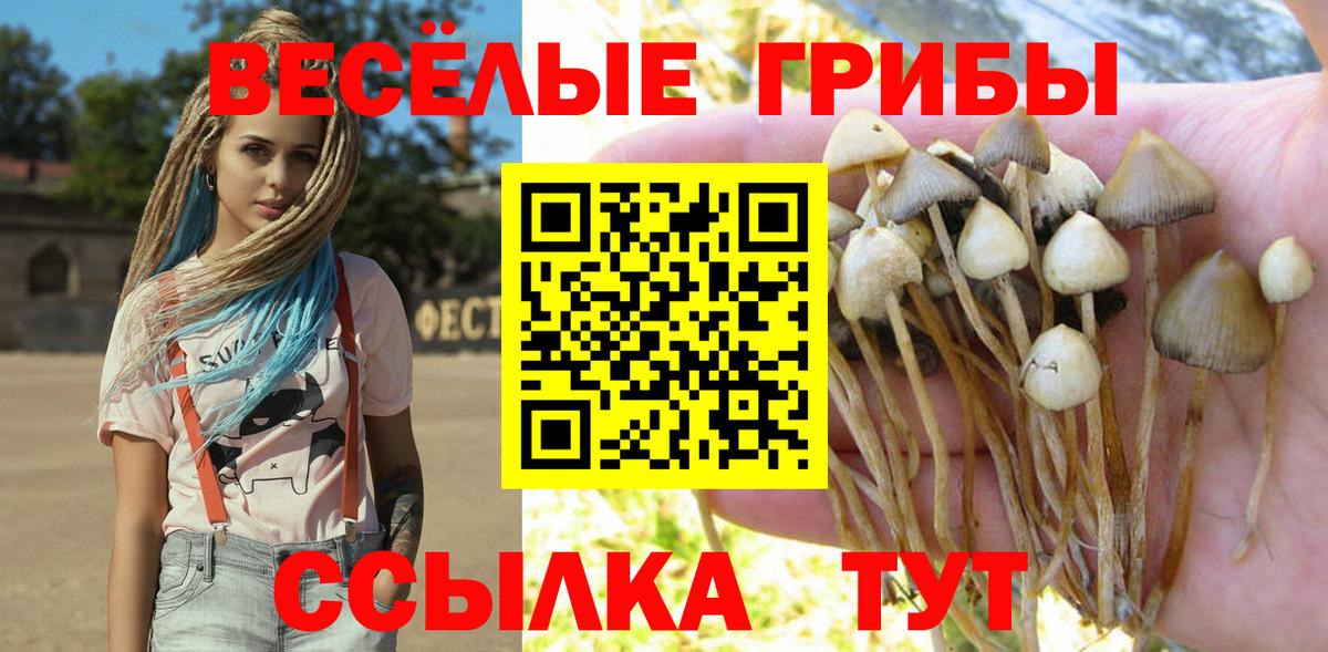 Рыбинск  Галлюциногенные грибы прущие грибы  Вход с VPN 