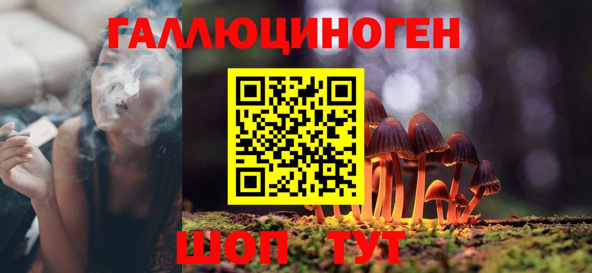 Галлюциногенные грибы Magic Shrooms Рыбинск